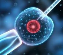 16个卵泡做试管，成功率能否一飞冲天？