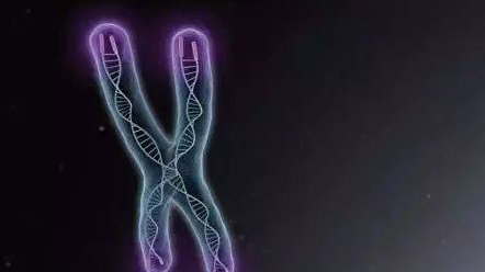 2026临汾三大助孕公司是哪些？附机构最新排名