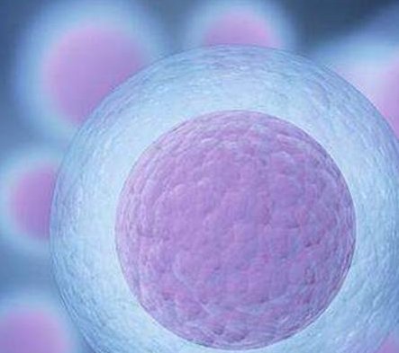 2026三亚正规助孕机构排名最新出炉，专业的助孕生子服务