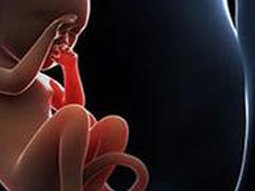 2026台州正规助孕机构排行榜介绍，附相关费用分享